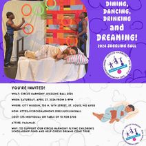 Circus Harmony Juggling Ball 2024