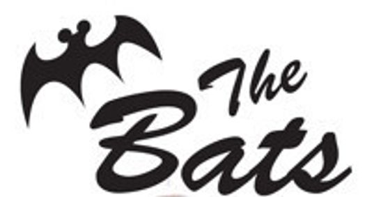 That Old Bat Magic show poster