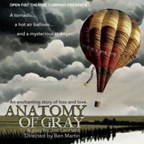 Anatomy of Gray show poster