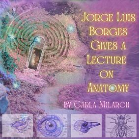 JORGE LUIS BORGES GIVES A LECTURE ON ANATOMY A play with music by Carla Milarch and Michael Riccinto show poster