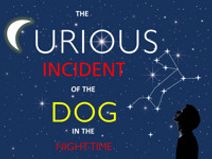 The Curious Incident of the Dog in the Night-Time