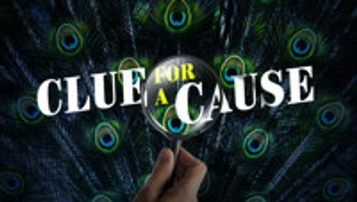 CLUE for a Cause show poster