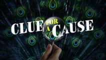 CLUE for a Cause