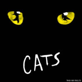 Cats show poster