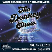 The Donkey Show: A Midsummer Night's Disco