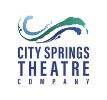 City Springs Theatre Co's First Fundraising Gala for Arts Education