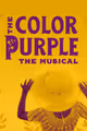 The Color Purple in Seattle