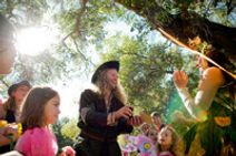 A Faery Hunt Enchantment