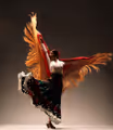 A Flamenco Journey in Houston