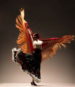 A Flamenco Journey show poster