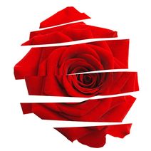 Virginia Opera: Carmen