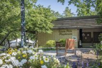 Footloose, the musical