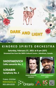 DARK AND LIGHT show poster