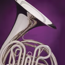 Stony Brook Symphony Orchestra