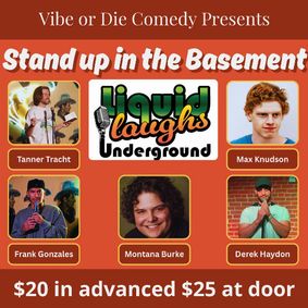 Stand Up In The Basement! Comedy Show! show poster