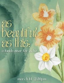 as beautiful as this: a fundraiser for echo show poster