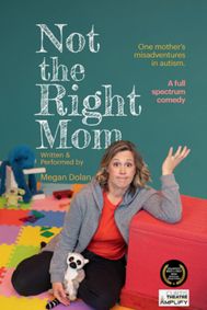 Not the Right Mom Written & Performed by Megan Dolan show poster