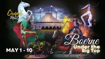 Cirque Ma'Ceo LIVE in Boerne  May 1 - 10, 2026 in Dallas