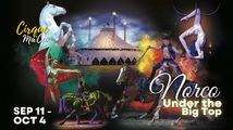 Cirque Ma'Ceo LIVE in Norco  Sep 11 - Oct 4, 2026 in Palm Springs
