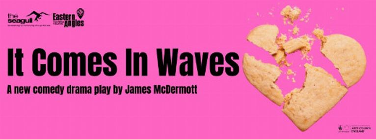 It Comes in Waves  show poster