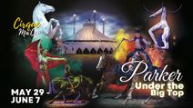 Cirque Ma'Ceo LIVE in Parker  May 29 - June 7, 2026