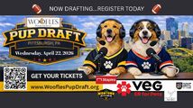 Woofles Pup Draft 2026 in Pittsburgh