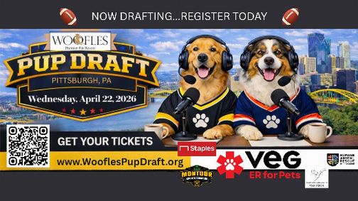 Woofles Pup Draft 2026 show poster