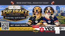 Woofles Pup Draft 2026