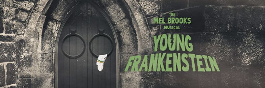 Young Frankenstein show poster