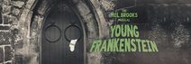 Young Frankenstein