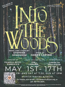 Into The Woods show poster