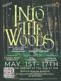 Into The Woods