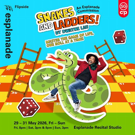 Flipside: Snakes and Ladders!