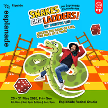 Flipside: Snakes and Ladders!