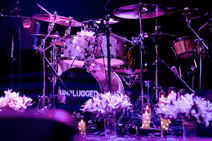 MTV Unplugged Tribute Band at Apollo Canna Company