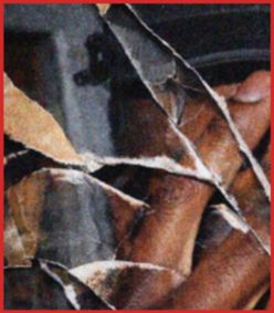 Four Walled Boyfriend show poster