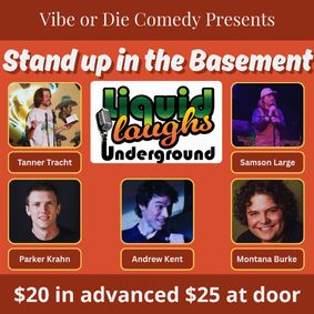 Stand Up in the Basement show poster