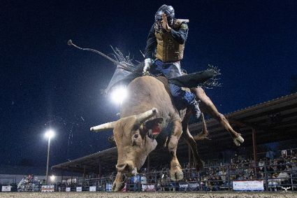 Blue Rose PRCA Charity Rodeo show poster