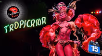 Forbidden Kiss LIVE - Tropicana