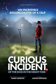 The Curious Incident Of The Dog In The Night-Time show poster