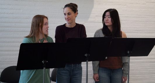 Staged reading of Show All History by Kristín Eiríksdóttir, presented by the Lewis Center for the Arts’ Program in Theater and the Program in Translation and Intercultural Communication show poster