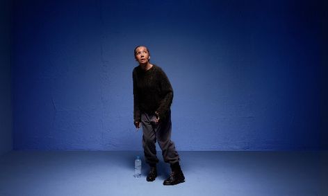 The Birds show poster