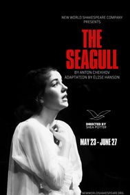 The Seagull show poster