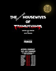 The (Not So Real) Housewives of Transylvania show poster