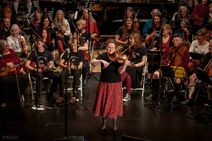 Stravaig: SF Scottish Fiddlers Spring Concerts