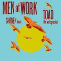 Men at Work, Toad the wet sprocket in Atlanta