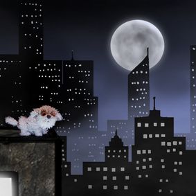 New Owner show poster