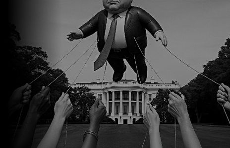 POTUS by Selina Fillinger