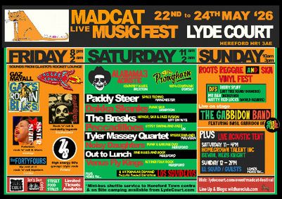 Madcat Live Music Festival show poster