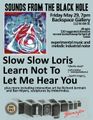 Sounds From the Black Hole ft. Slow Slow Loris, Xylocept, Learn Not To - May 29 at Backspace Gallery in South Bend
